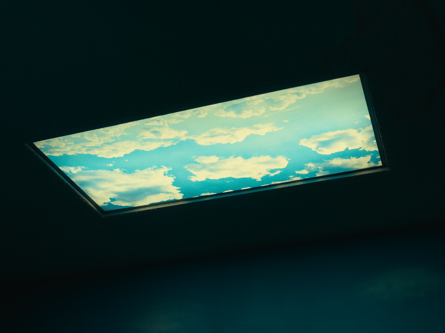 profileItems%2Fe0lQPx6CEhZcIiWkpKGUg4rSbNB2%2FnewProfileItem%2Ffd977097-8aca-4735-a88d-68c3dd072a9b.png