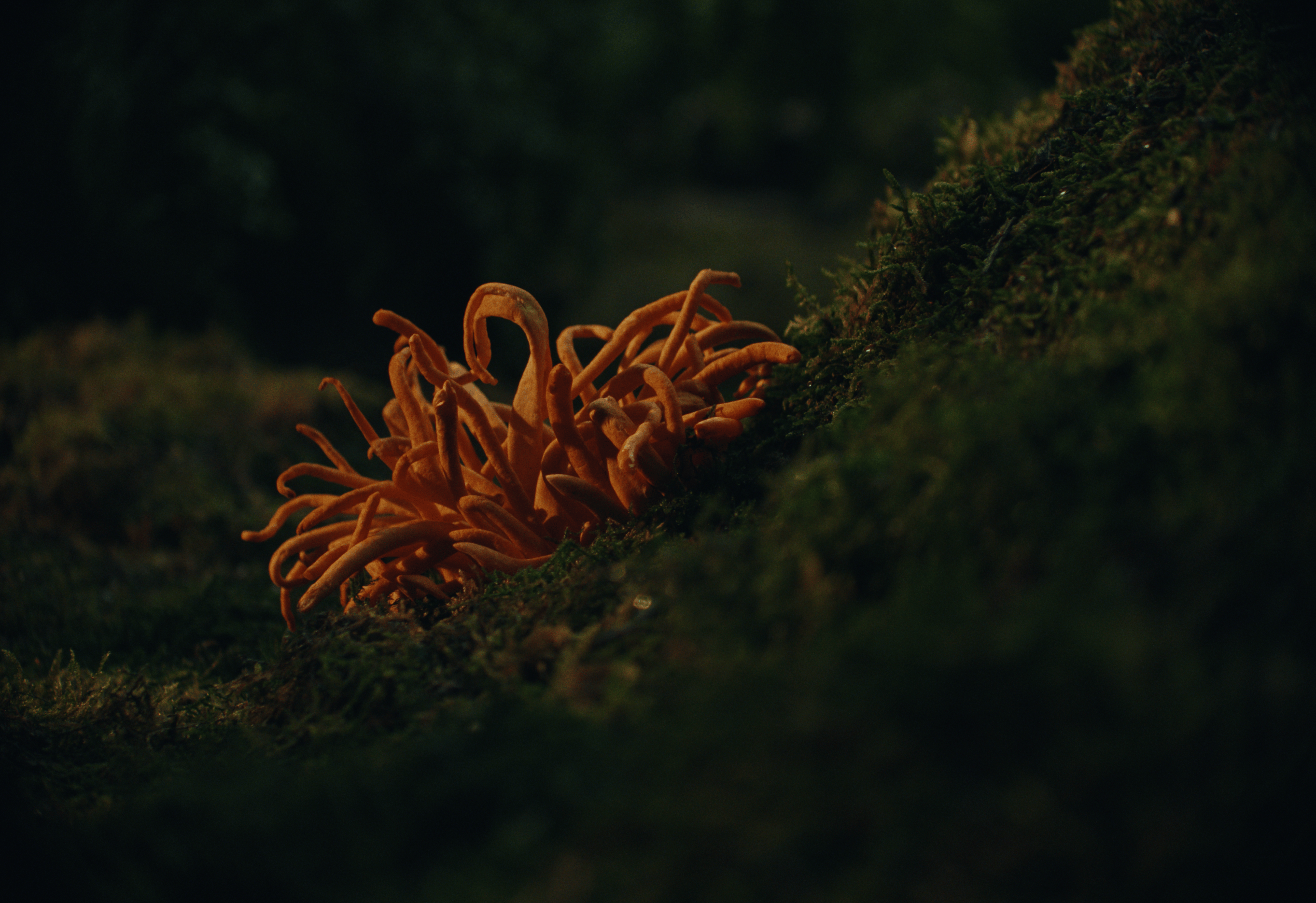 Screenshot 2025-10-23 at 1.53.47 PM.png