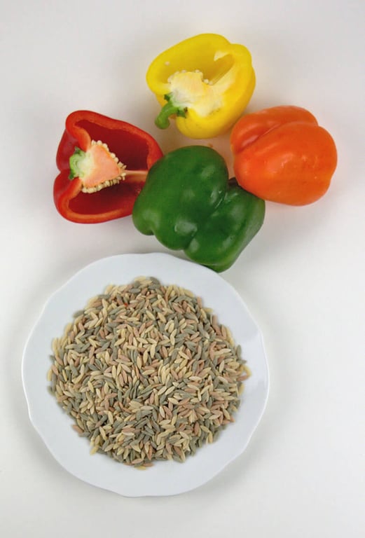 Picture of uncooked orzo and 4 different colored bell peppers