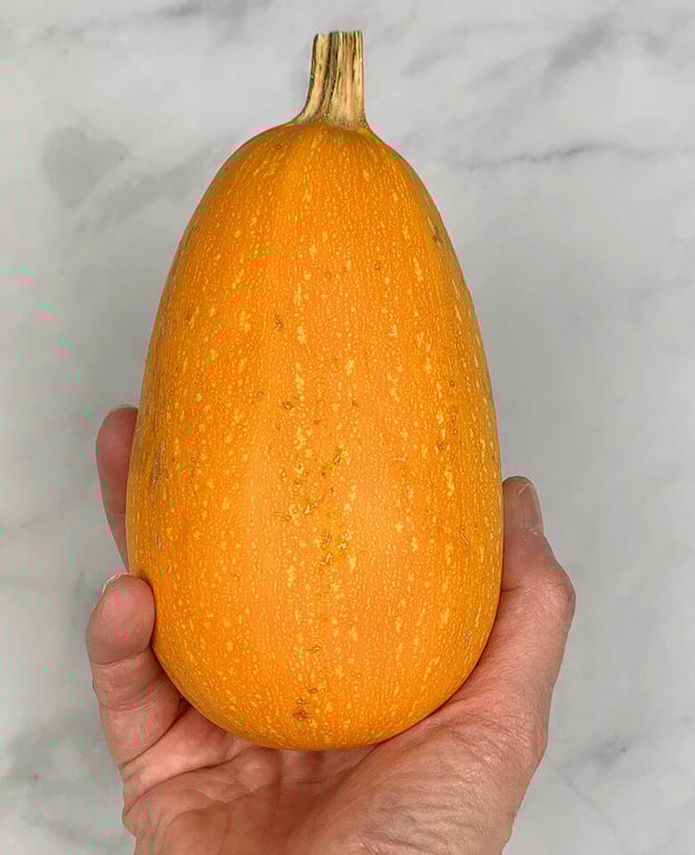 Small orange spaghetti squash