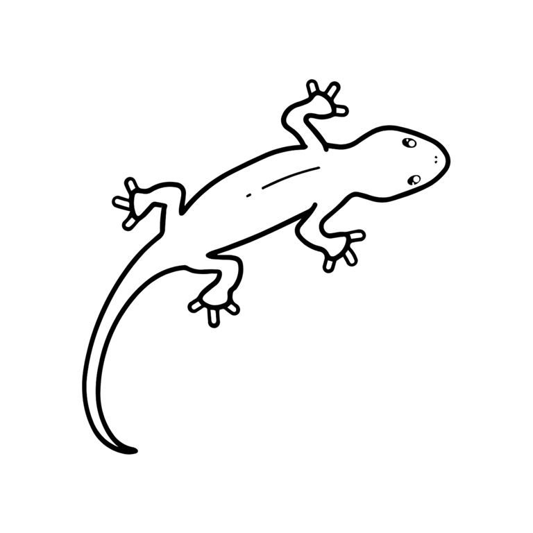 lizerd logo