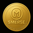 METAVERSE token icon