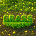Grass token icon