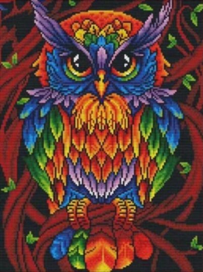Wisdom in Colour