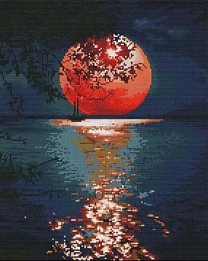 Moonlit Stillness