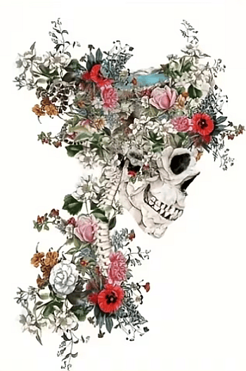 Petals And Bone