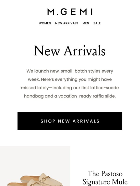 Migma New Arrival Email Template