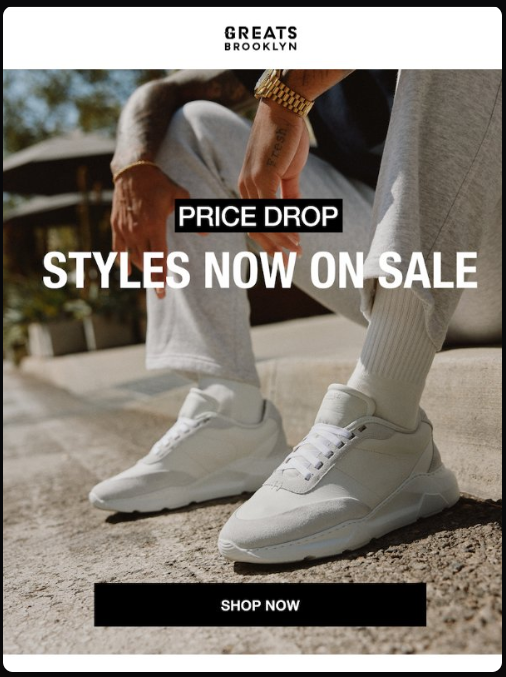 A price drop email template showing the original and new price side by side, a brief message referencing the recipient's prior interest, and a CTA to buy now. 