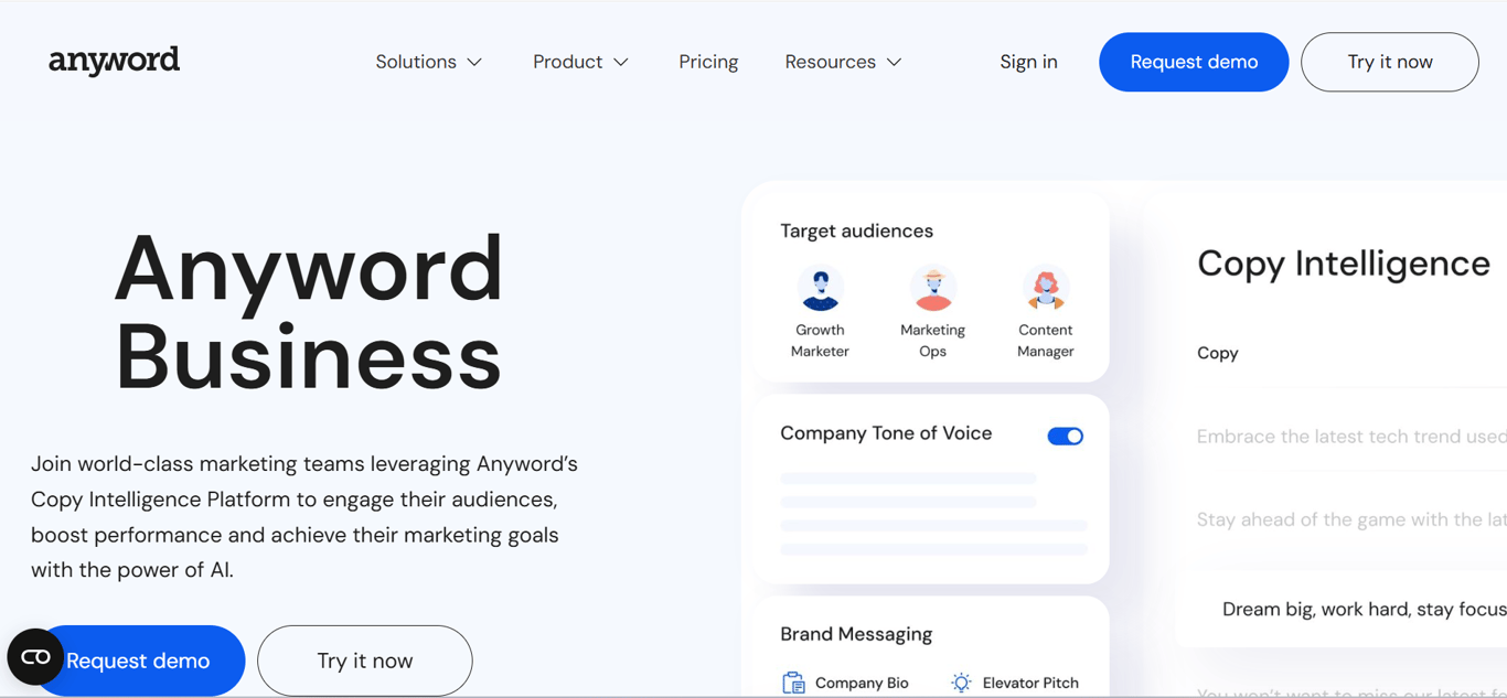 Homepage of anyword