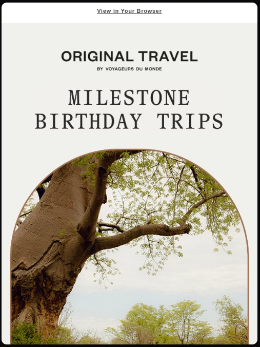 A milestone email template marking a customer relationship anniversary, with a personalized summary of orders placed and value received, and a CTA to keep the momentum going. 