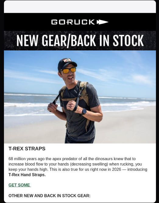 A back-in-stock email template notifying the subscriber that a previously unavailable item is available again, with a low-stock urgency line and a direct CTA to purchase. 