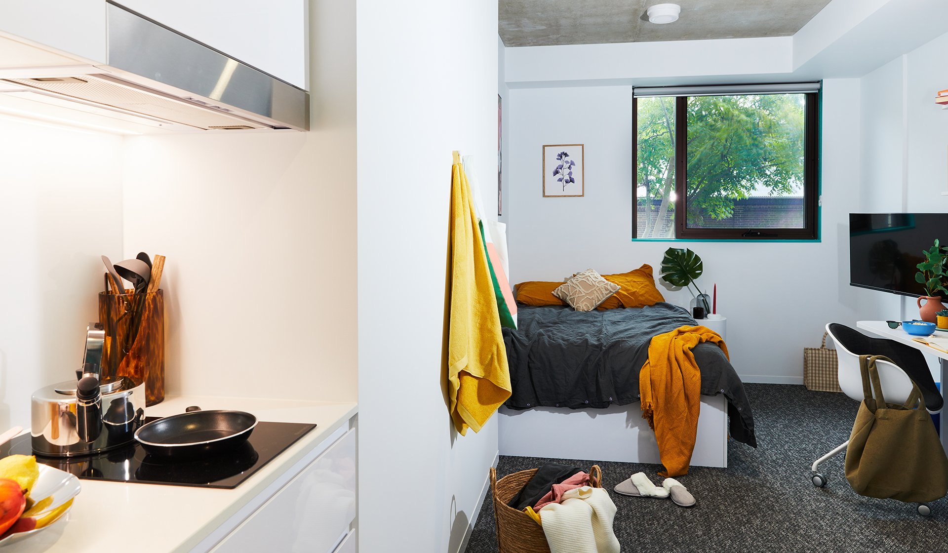 Medium Student Studio Apartment at Darlington Sydney Scape