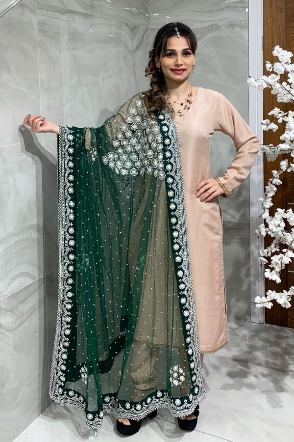 Net luxury embroidered dupatta