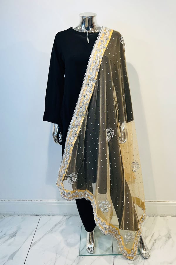 Shiffonz net embroidered dupatta - BEGSLV, FREE SIZE