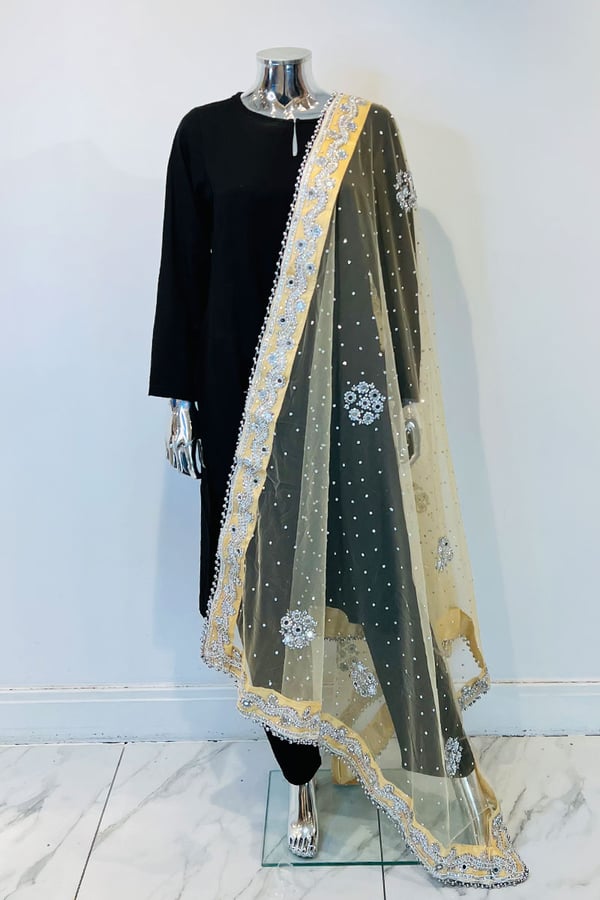 Shiffonz net embroidered dupatta - Image 8