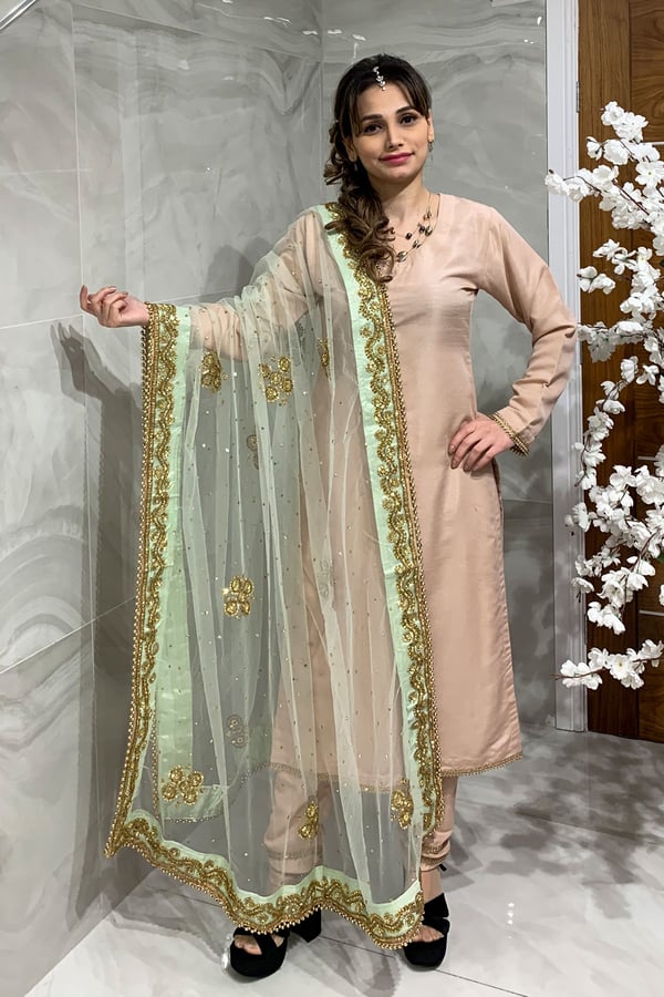 Shiffonz net embroidered dupatta - Image 7