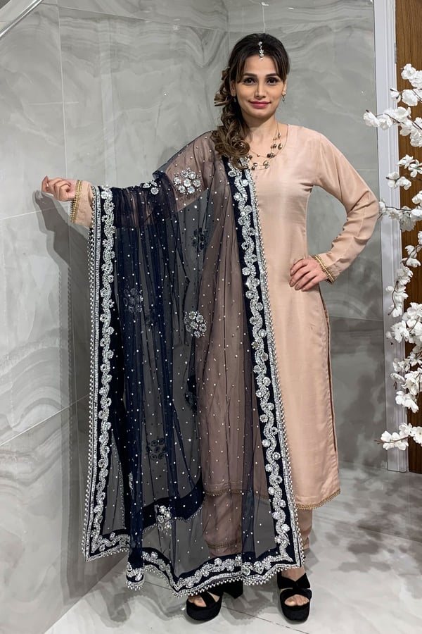 Shiffonz net embroidered dupatta - Image 14