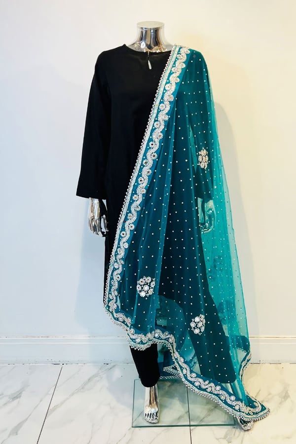 Shiffonz net embroidered dupatta - SGRSLV, FREE SIZE