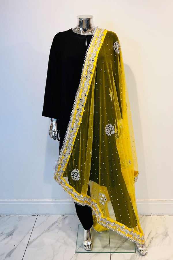 Shiffonz net embroidered dupatta - Image 25