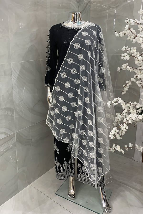 Embroidered chiffon dupatta