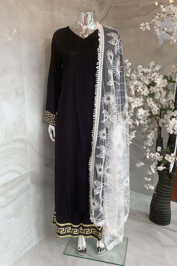 Shiffonz casual net dupatta - White, FS