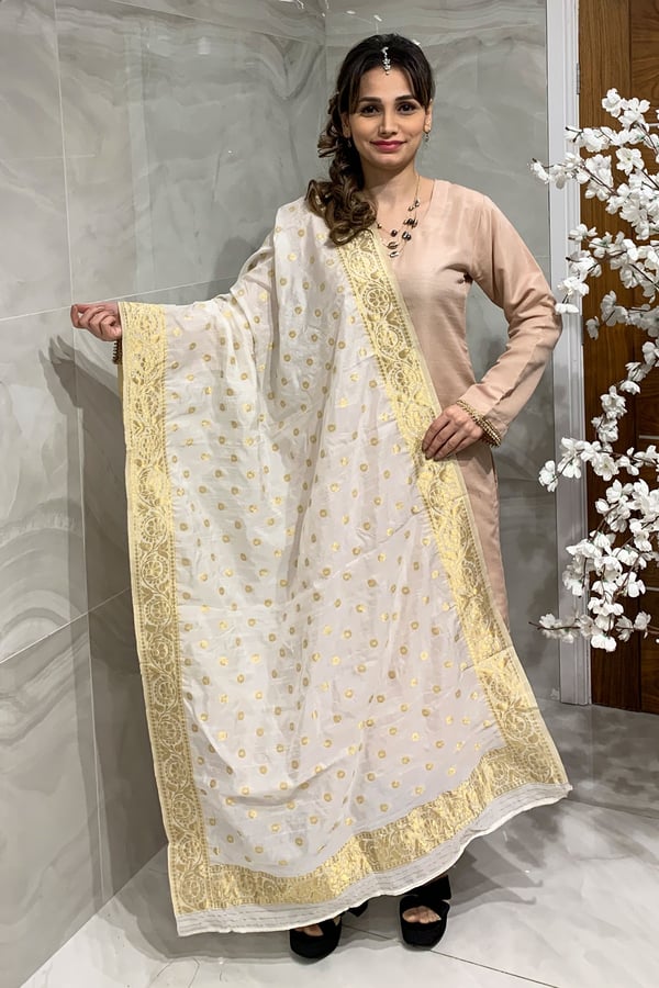 Shiffonz luxury printed banarsi dupatta - White/gold, FS