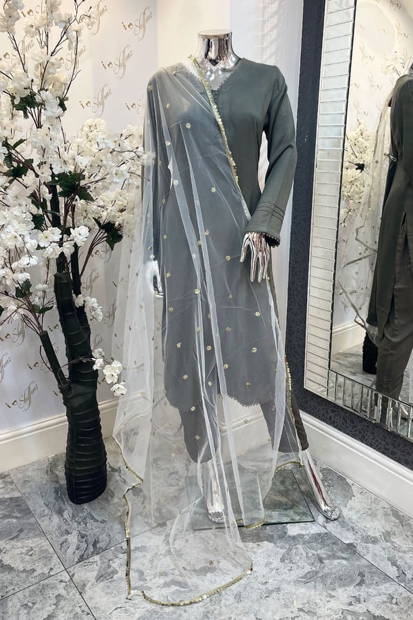 Dupatta on soft net