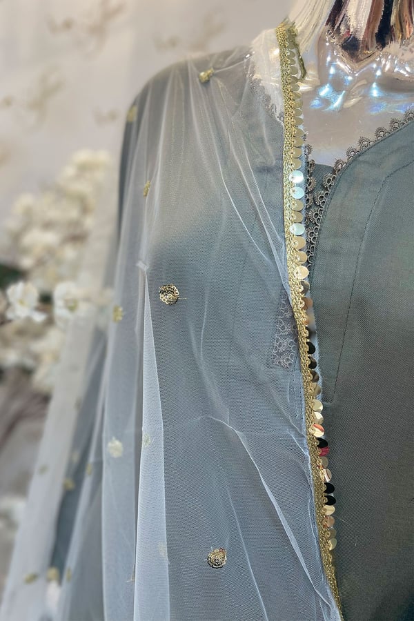 Dupatta on soft net - Image 2