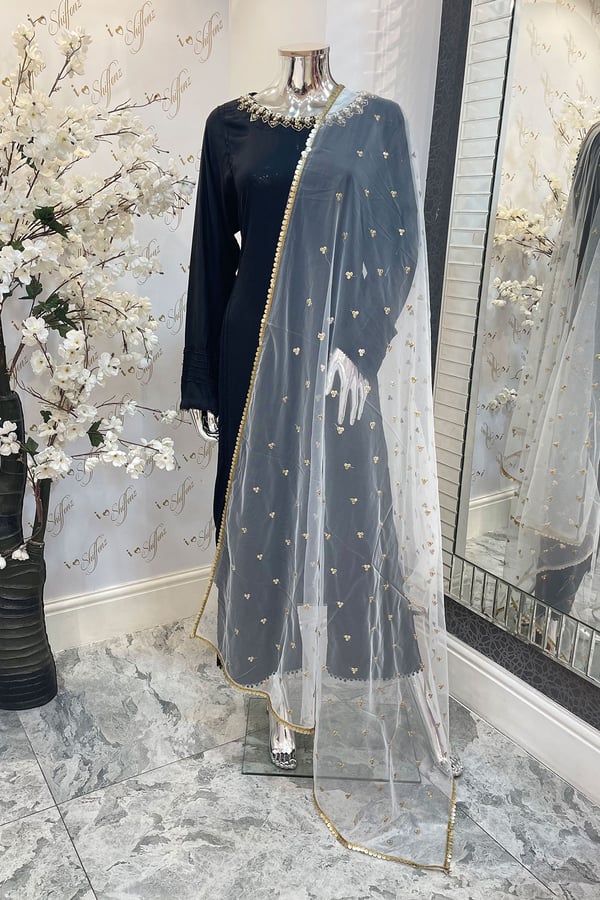 Shiffonz soft net dupatta