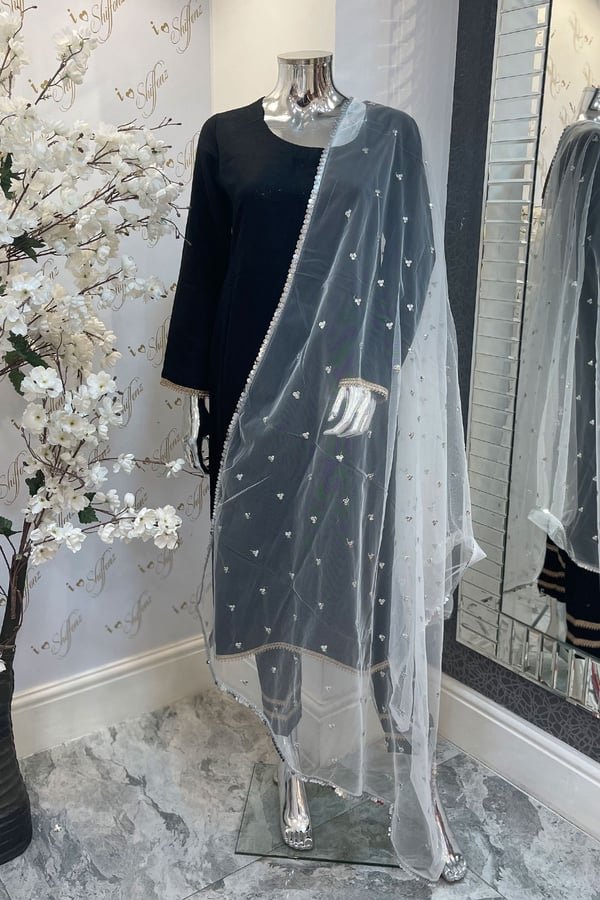 Shiffonz soft net dupatta - Whitesilver, FS