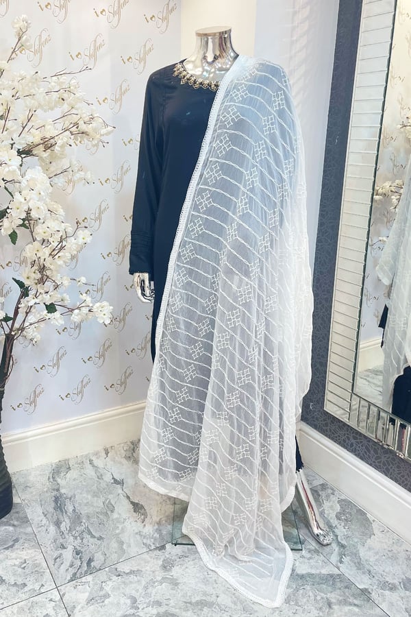 Chiffon dupatta with thread work embroidery