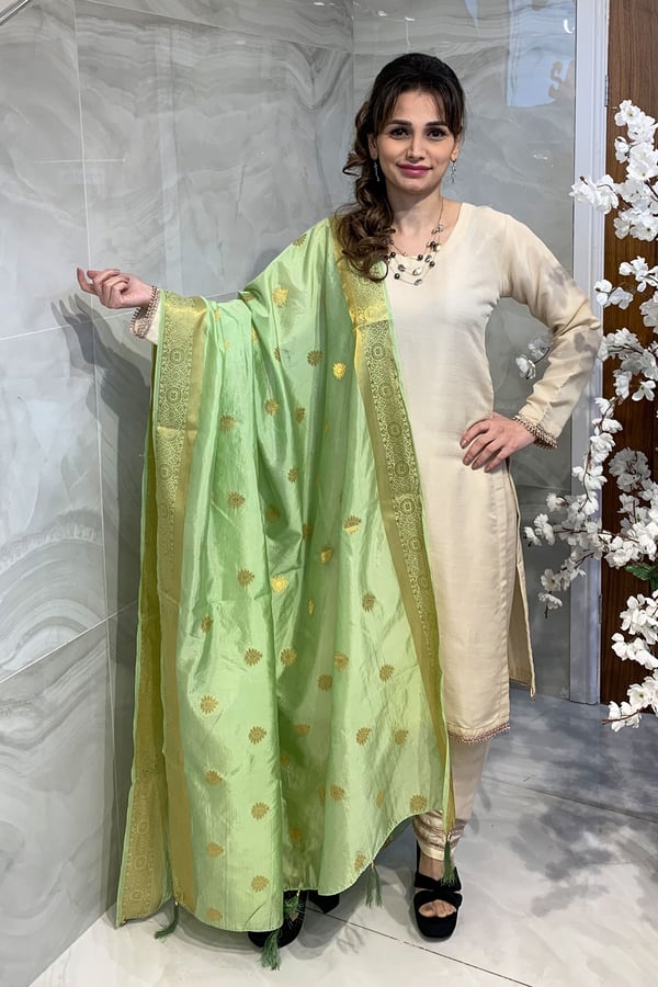 Shiffonz casual printed banarsi dupatta - Image 12