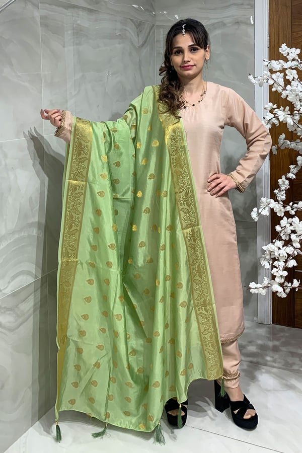 Shiffonz casual printed banarsi dupatta - Image 13