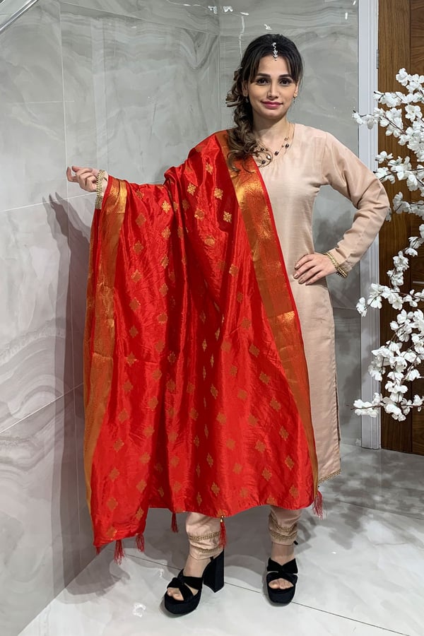 Shiffonz casual printed banarsi dupatta - Image 21