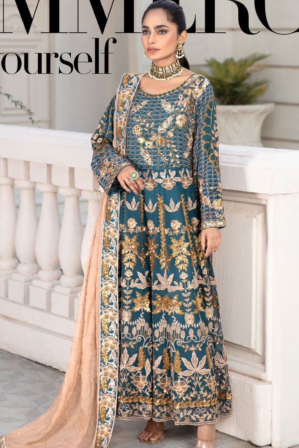 Alnaaz shiffonz 3 piece embroidered long dress