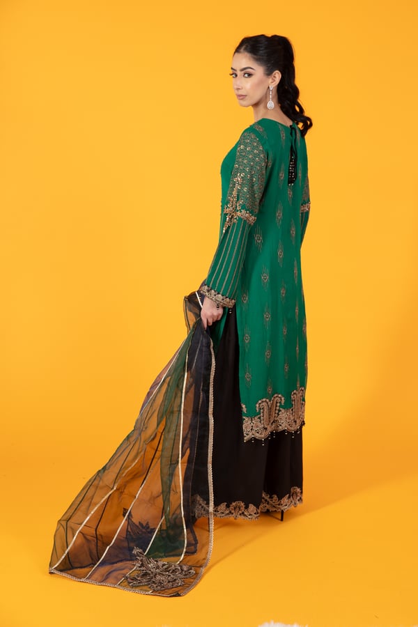 3 Piece embroidered chiffon plazo dress - Image 2