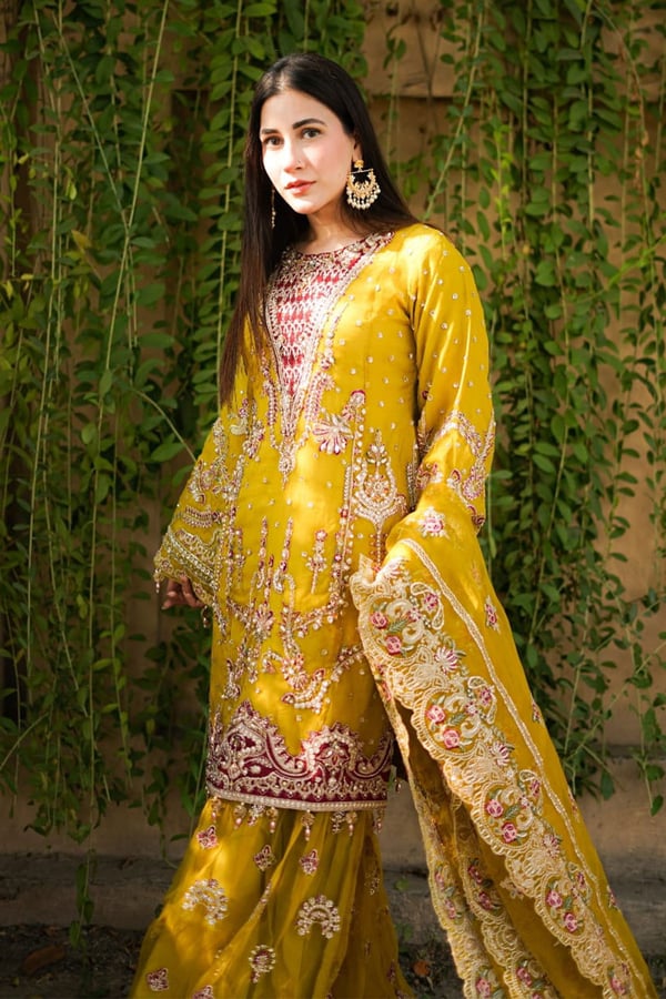 Esme collection 3 piece gharara organza suit