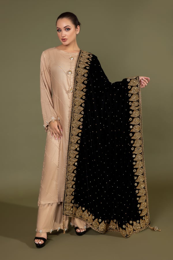Shiffonz by Simran's velvet embroidered shawl