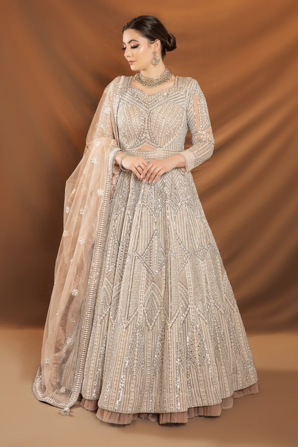 Shiffonz luxury embroidered long gown
