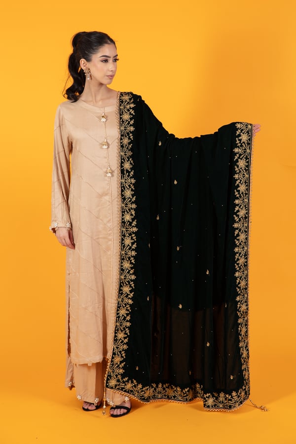 Velvet border luxury shawl