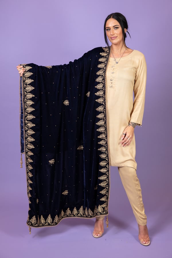Velvet heavy embroidered shawl