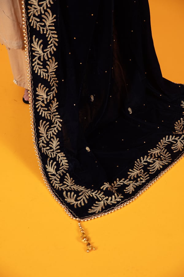 Velvet luxe heavy embroidered shawl - Image 3