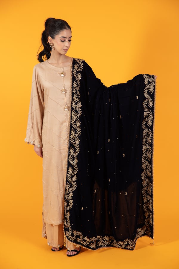 Velvet luxe heavy embroidered shawl - Navy, FREE SIZE