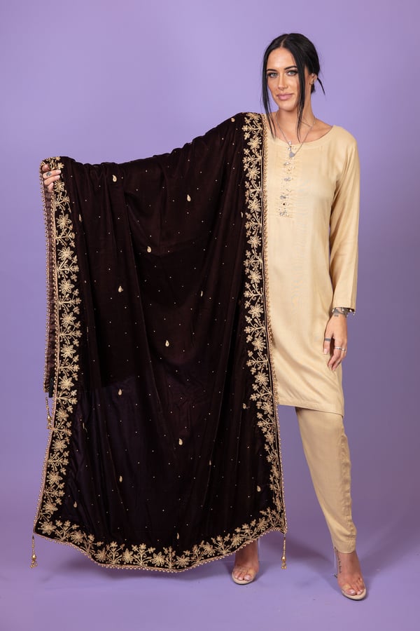 Velvet heavy embroidered shawl