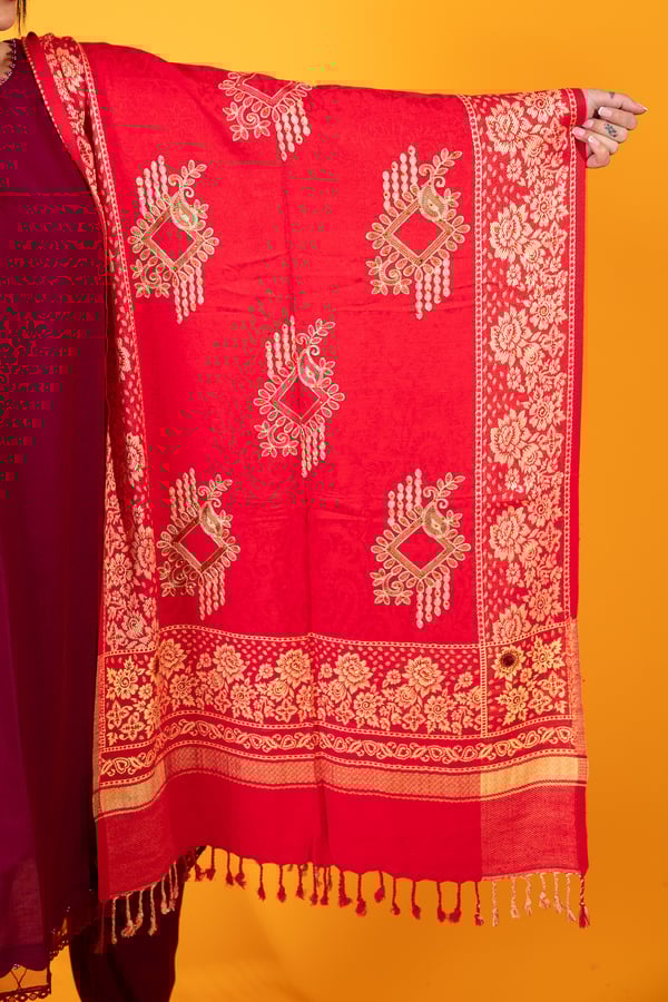 Marina embroidered shawl - Image 4