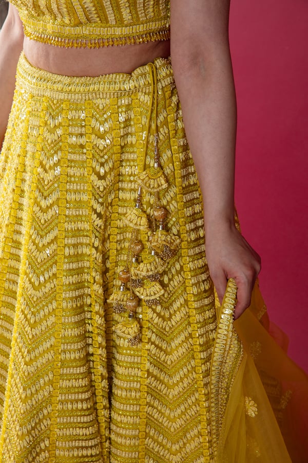 Shiffonz luxury embroidered lengha choli - Image 7