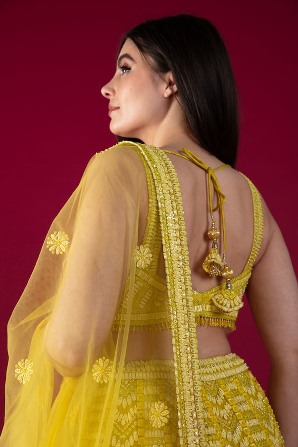 Shiffonz luxury embroidered lengha choli - Image 6
