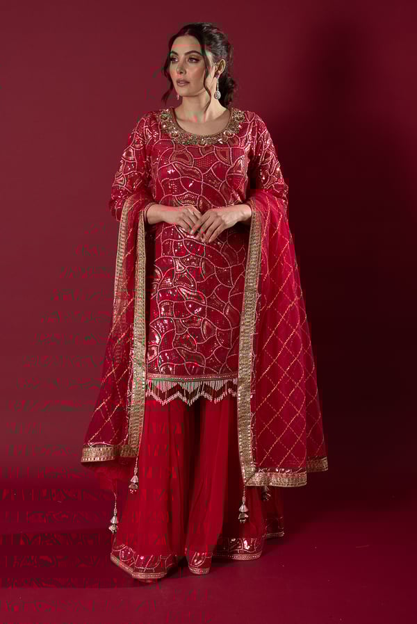 3 Piece luxury sequence embroidered sharara suit - Image 3