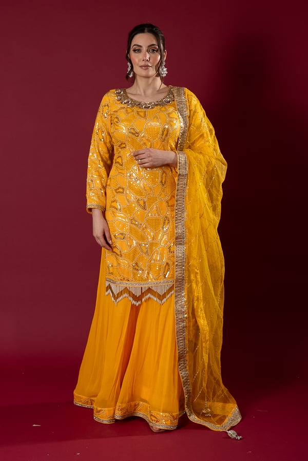 3 Piece luxury sequence embroidered sharara suit - Image 2
