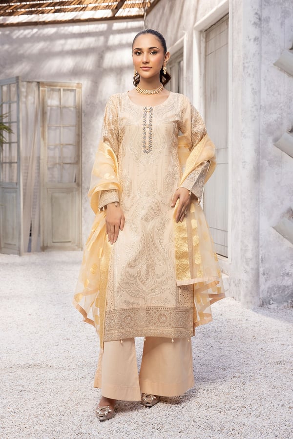 Noor collection 3 piece embroidered eid suit - Beige, X - Large
